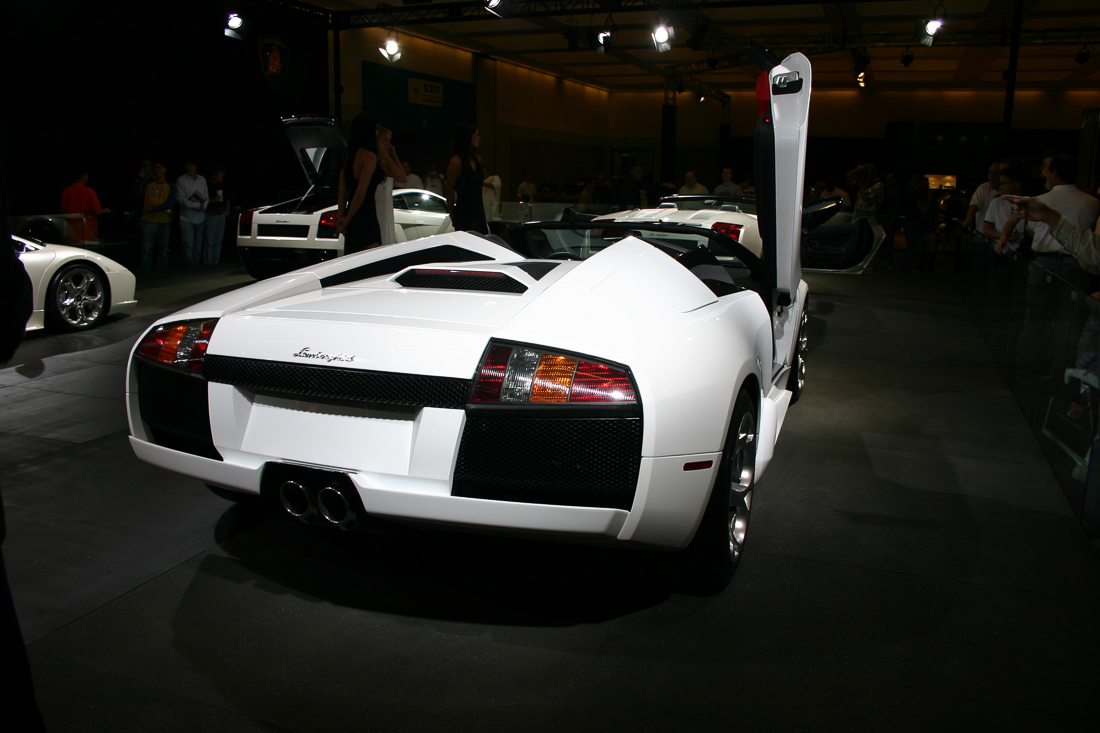 Image #175, Original IMG_1785, January 06, 2006, 1/100 sec at f / 5.6, , , ISO 100, 