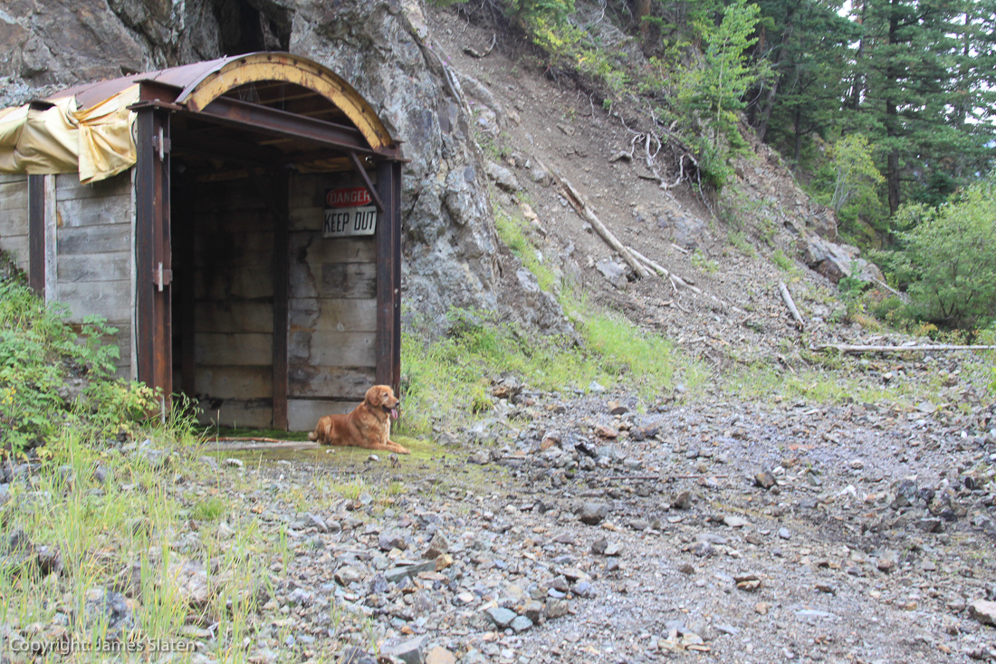 Image #1, Original IMG_4696, August 30, 2014, 1/30 sec at f / 5.6, , , ISO 250, Copyright: James Slaten