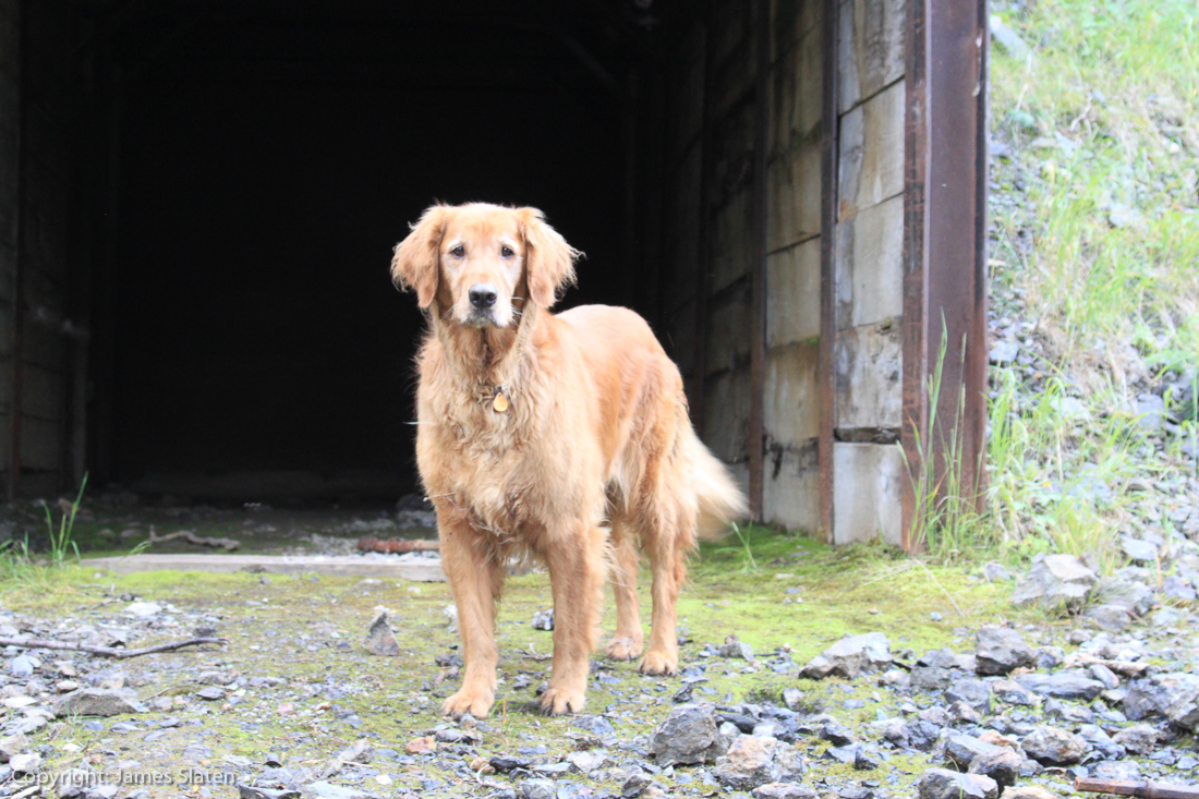 Image #12, Original IMG_4707, August 30, 2014, 1/50 sec at f / 5.6, , , ISO 1000, Copyright: James Slaten